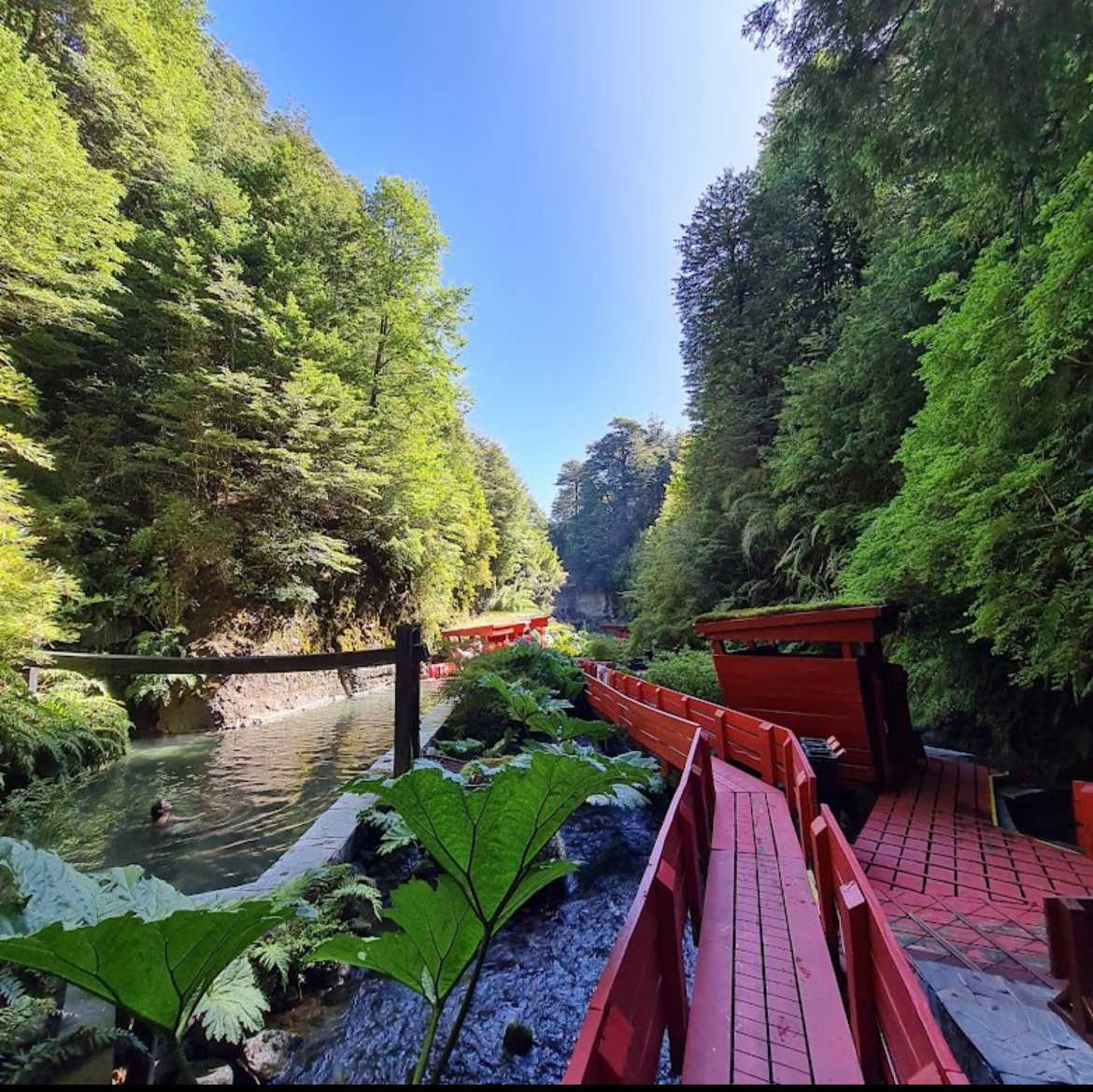 Termas Geométricas